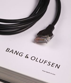 Bang & Olufsen MasterLink Cable